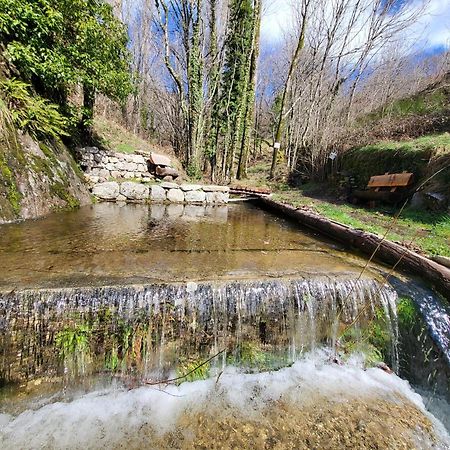 Bed and Breakfast La Bouletiere Dourbies Экстерьер фото